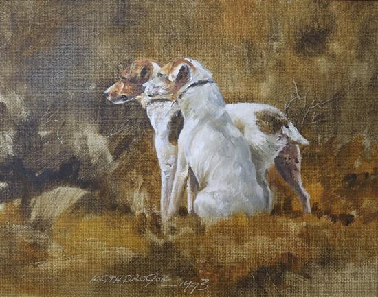 Keith Proctor, oil on board, Jack Russells, signed and dated 1993, 17 x 22cm